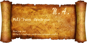 Méhes Andrea névjegykártya