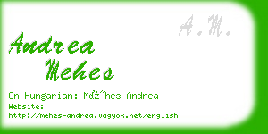 andrea mehes business card